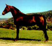 at age 3